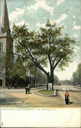Harvard University, The Washington Elm Postcard