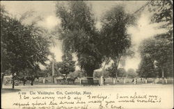 The Washington Elm Postcard