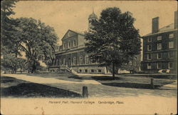 Harvard College - Harvard Hall Postcard