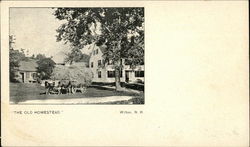 The Old Homestead Wilton, NH Postcard Postcard