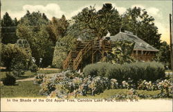 In the Shade of the Old Apple Tree, Canobie Lake Park Postcard