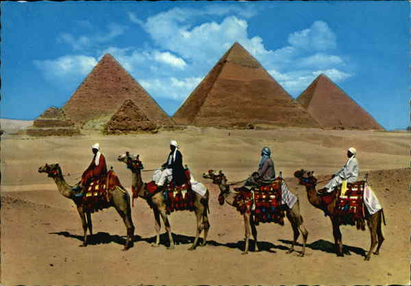 Camel Caravan near Giza Pyramids Cairo Egypt Africa