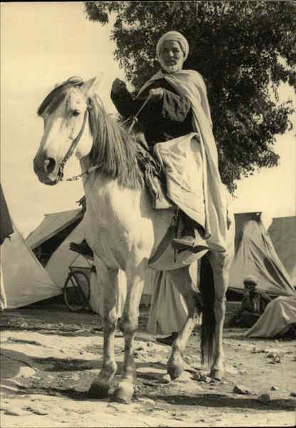 265 - Types : Cavalier Berbère