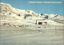An isolated farm in the depth of winter Reykjavik Iceland