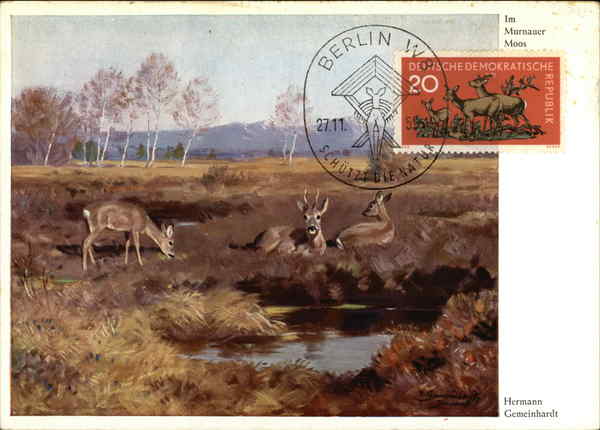 Hermann Gemeinhardt im Murnauer Moos Maximum Cards