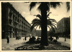 Teorie di palme al Corso Cavour Bari, Italy Postcard Postcard