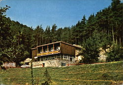 Chalet Curmatura Stejii Postcard