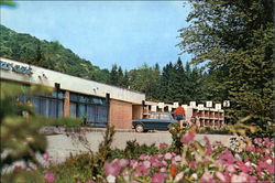 Motel Cozia Postcard
