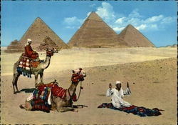 No 150 Prayer near the Giza Pyramide Postcard