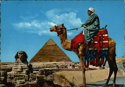 The Great Sphinx of Giza and Khefren Pyramid Postcard
