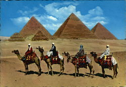 Camel Caravan near Giza Pyramids Cairo, Egypt Africa Postcard Postcard