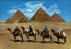 Camel Caravan near Giza Pyramids Postcard