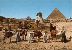 Pyramids and the Sphinx Postcard