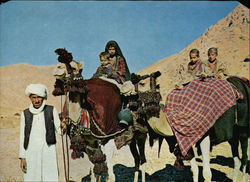 Nomad Kuchi Postcard