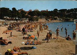 Porto Cristo Postcard