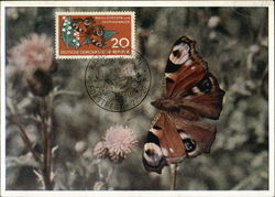 Butterfly Landing on Thistle Plant Postcard