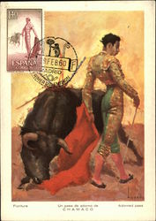 Adorned pass Postcard