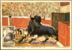 The bull rushes out Postcard