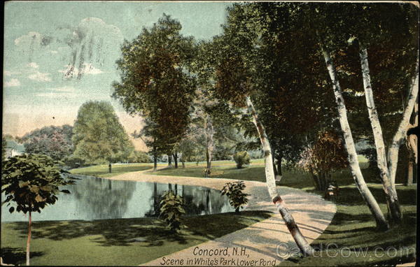 White's Park, Lower Pond Concord New Hampshire