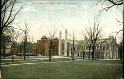Harvard Grounds Postcard
