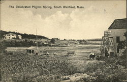 Pilgrim Springs South Wellfleet, MA Postcard Postcard