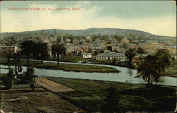 Bird's Eye View of Walkerton, Ont Postcard