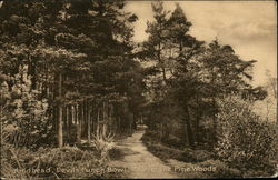 Stock #405382 Thumbnail