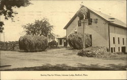 Llewsac Lodge - Storing Hay for Winter Bedford, MA Postcard Postcard