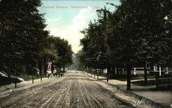 Central Avenue Waterbury, CT Postcard Postcard