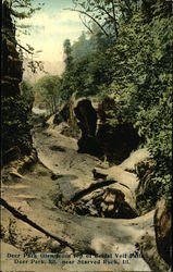 Deer Park Glen From Top of Bridal Veil Falls Illinois Postcard Postcard