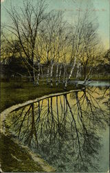 Lake, Forest Park Postcard