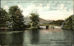 Rustic Bridge, Chocorua Lake Rustic Bridge, Chocorua Lake