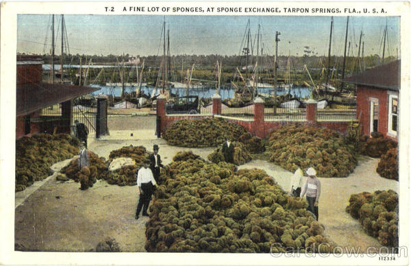 A Fine Lot Of Sponges Tarpon Springs Florida