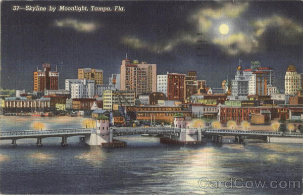 Skyline By Moonlight Tampa Florida