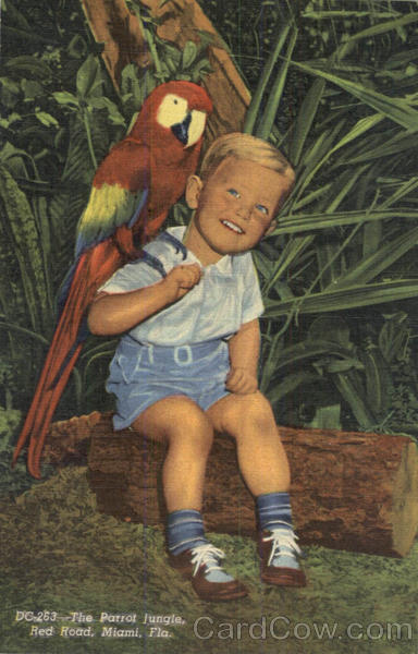 The Parrot Jungle, Red Road Miami Florida