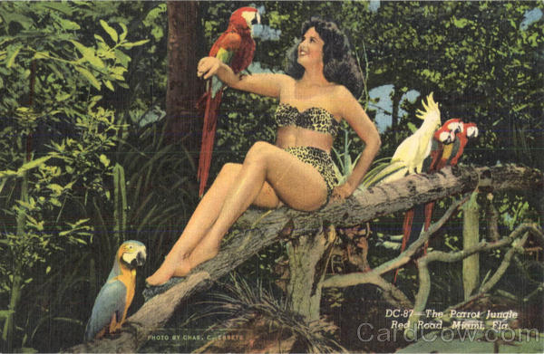 The Parrot Jungle, Red Road Miami Florida