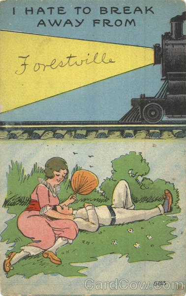 I Hate To Break Away From Forestville New York