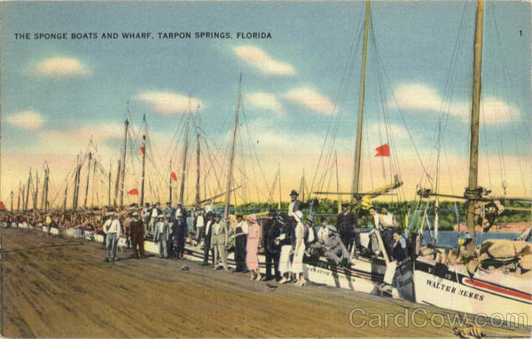 The Sponge Boats And Wharf Tarpon Springs Florida
