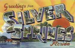 Greetings From Silver Springs Postcard