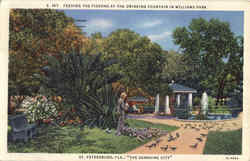 Feeding The Pigeons At The Drinking Fountain , Williams Park Postcard