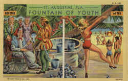 Fountain Of Youth Postcard
