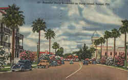 Beautiful Davis Boulevard On Davis Island Tampa, FL Postcard Postcard