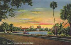 Beautiful Orlando From Lake Eola Florida Postcard Postcard