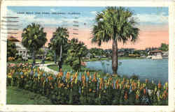 Lake Eola And Park Orlando, FL Postcard Postcard