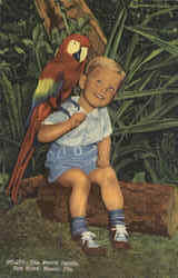 The Parrot Jungle, Red Road Miami, FL Postcard Postcard