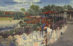 The Parrot Jungle, Red Road Miami, FL Postcard Postcard