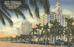 Biscayne Blvd Miami, FL Postcard 