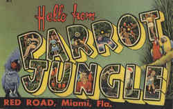 Hello From Parrot Jungle Miami, FL Postcard Postcard