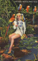 Parrot Jungle, Red Road Postcard