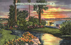 Sunset In Waterfront Park Postcard